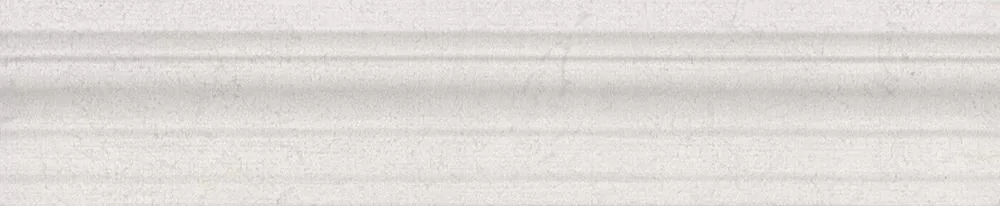 BLE009