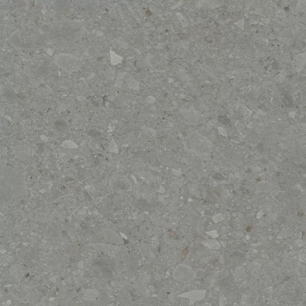 DD606120R