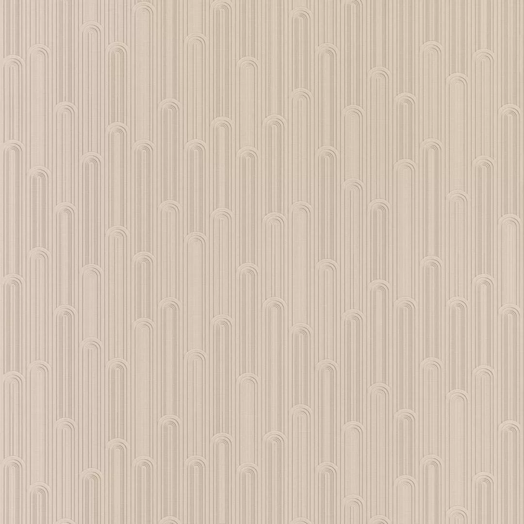 №6
