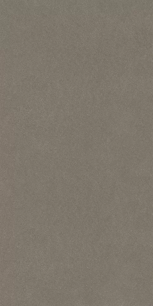 DD519522R
