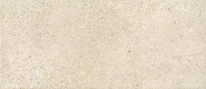 SG906500N\3
