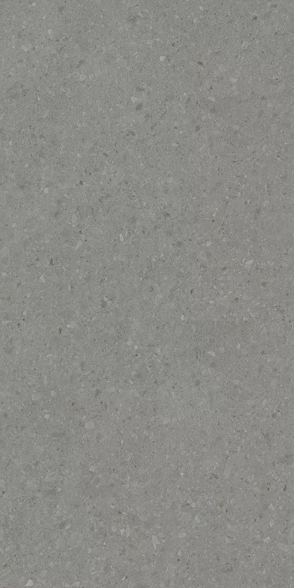 DD591520R