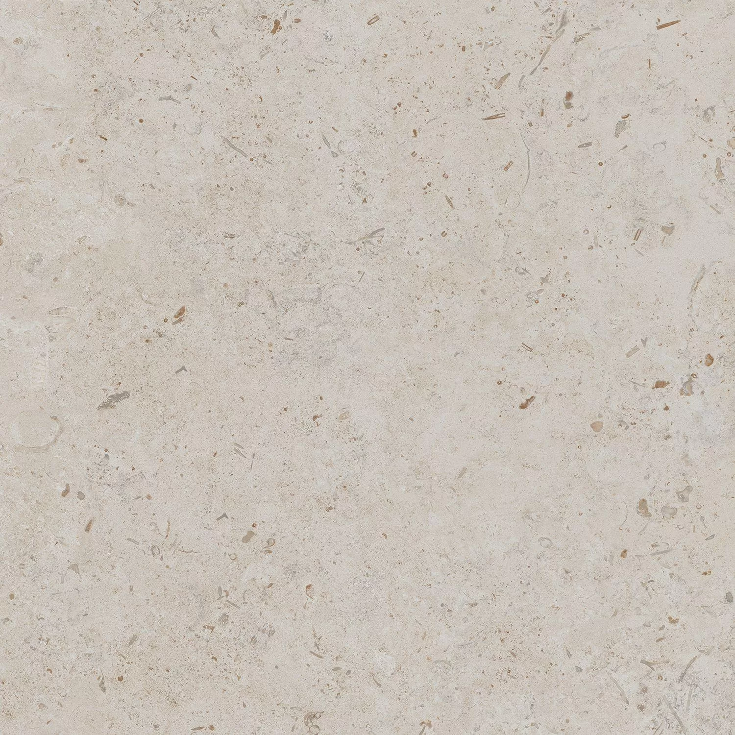 DD641220R