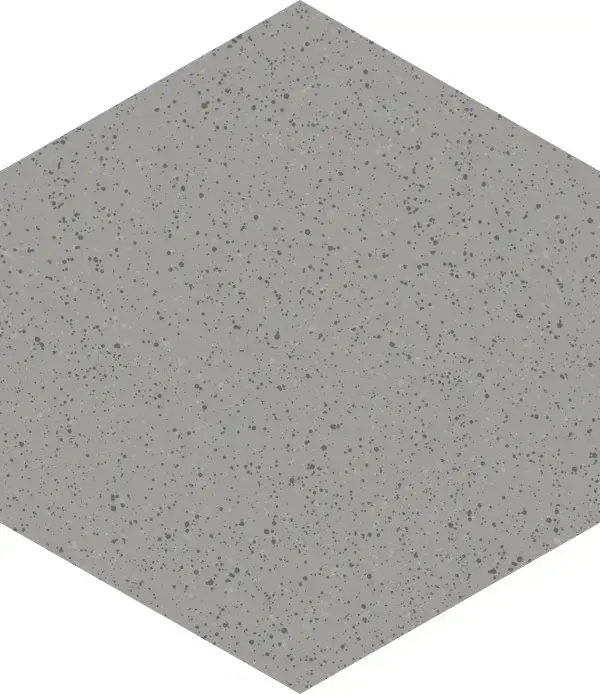 SP100110N
