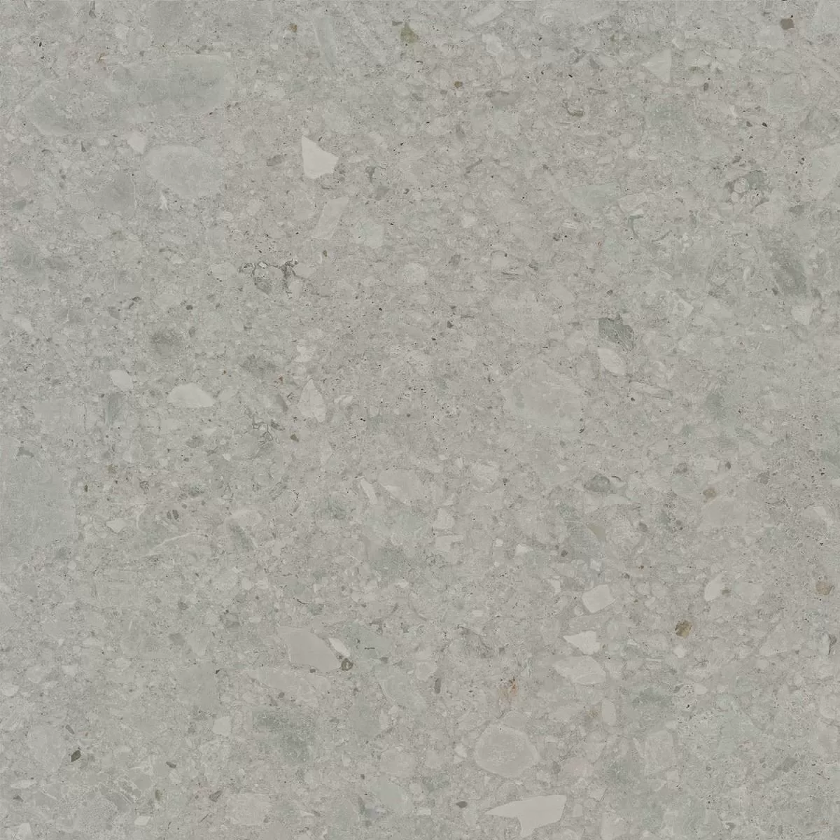 DD606020R