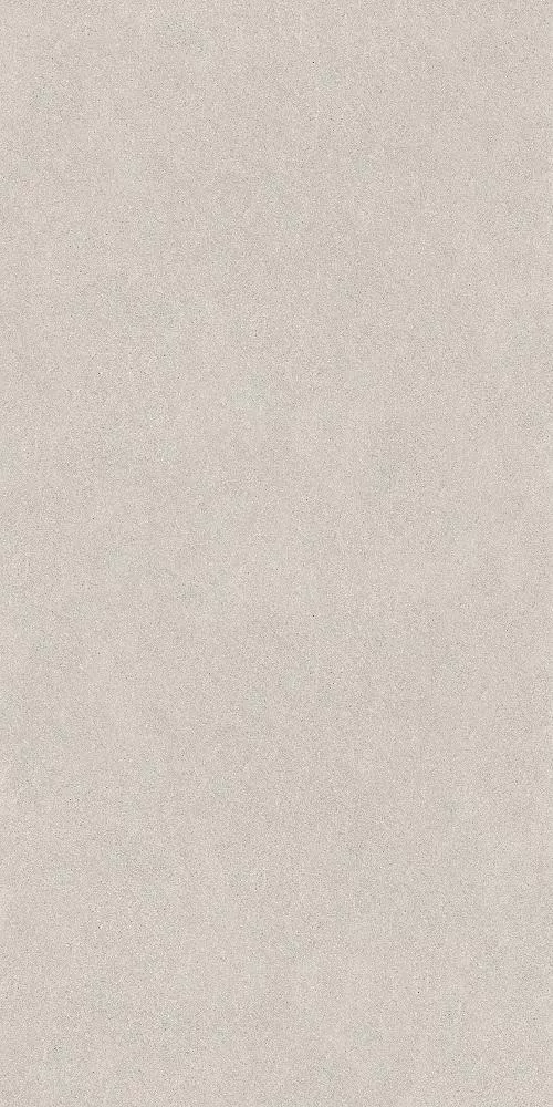 DD519222R
