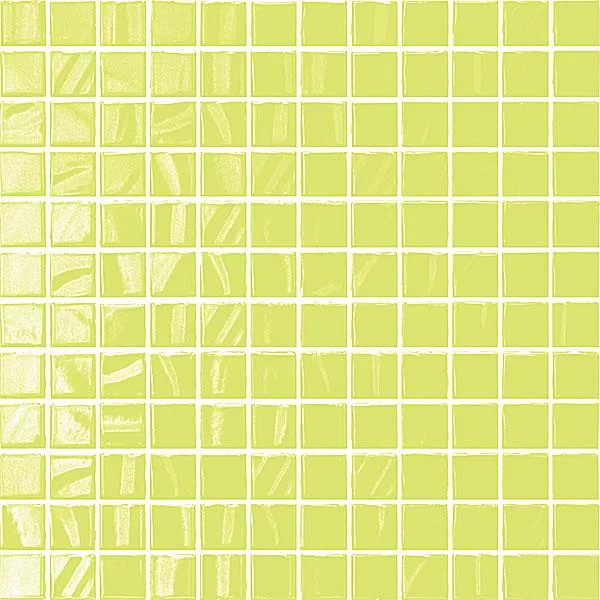 20054