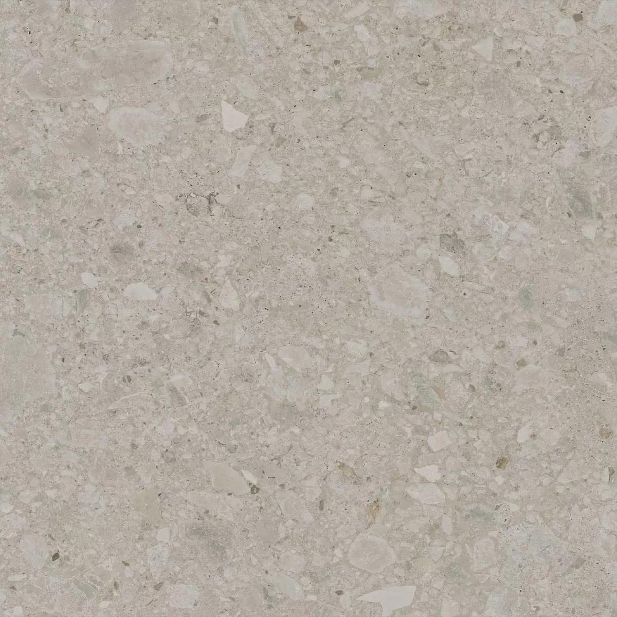 DD605920R