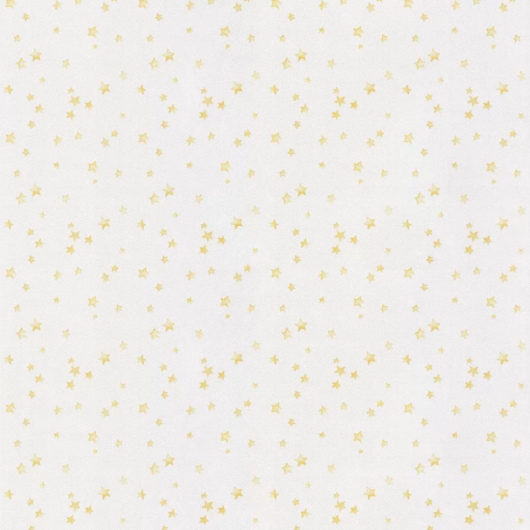 №51