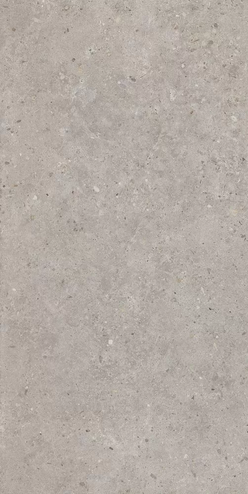 SG519920R