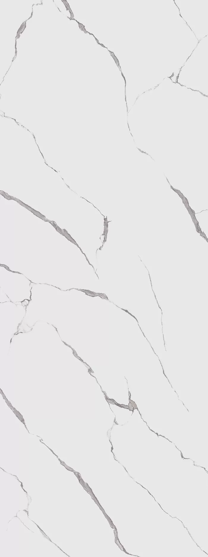 SL1232G0031R6
