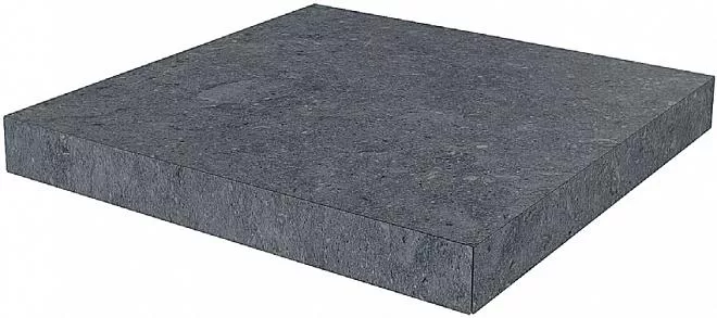 DL501320R\GCA