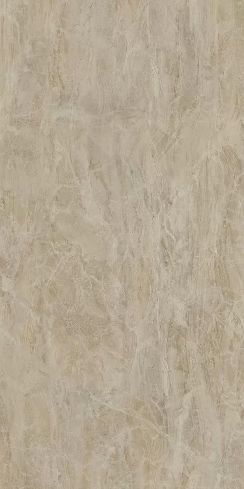 SG50000022R