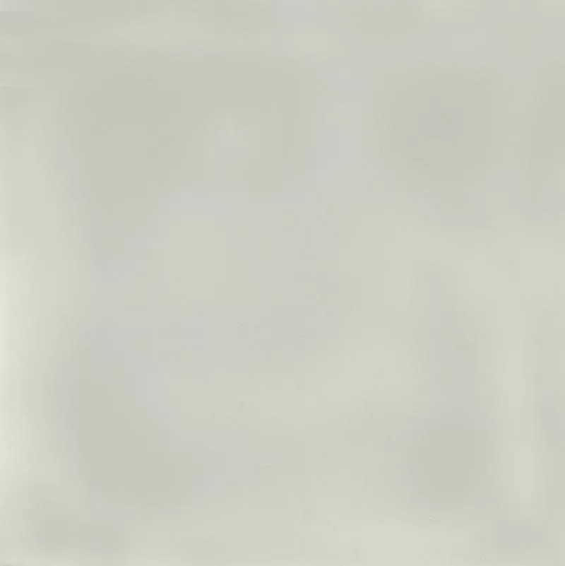 17009