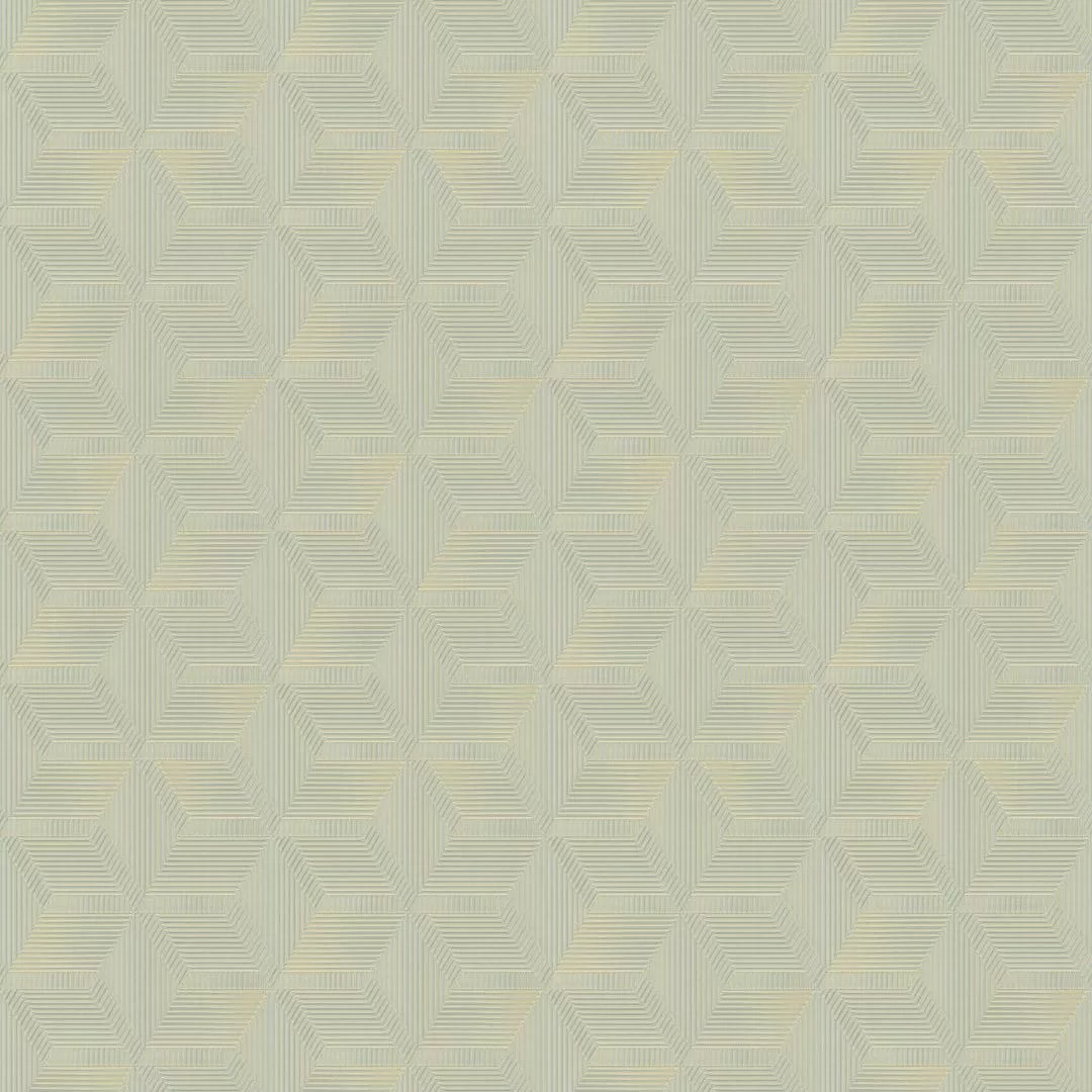 №5