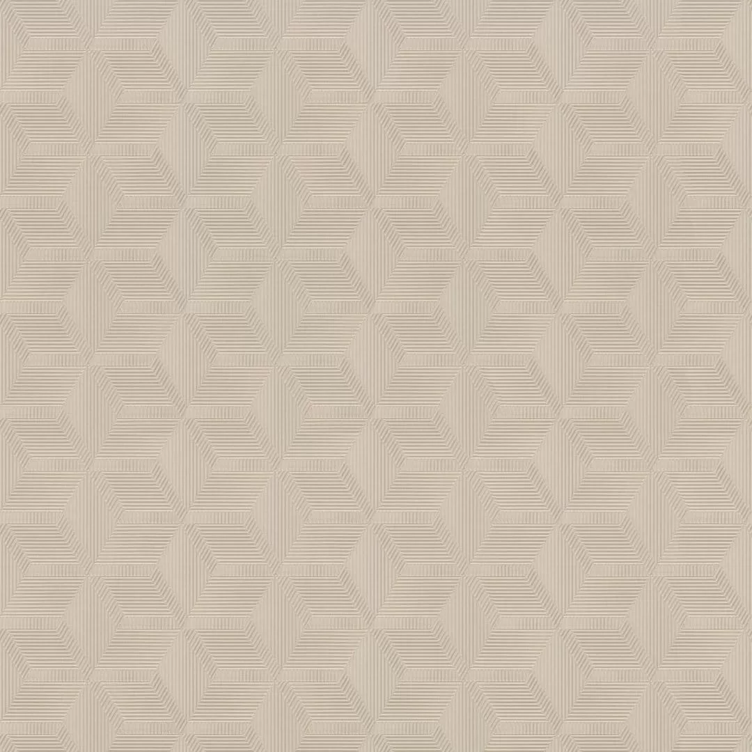 №6