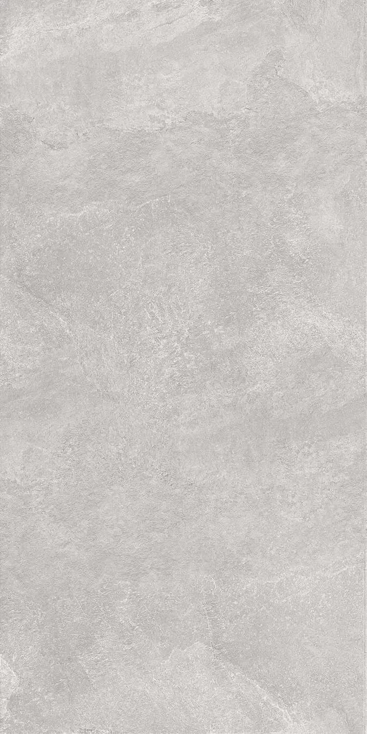 DD503820R